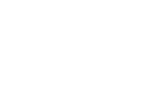 Gladmet logo alterno